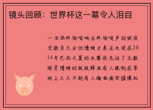镜头回顾：世界杯这一幕令人泪目